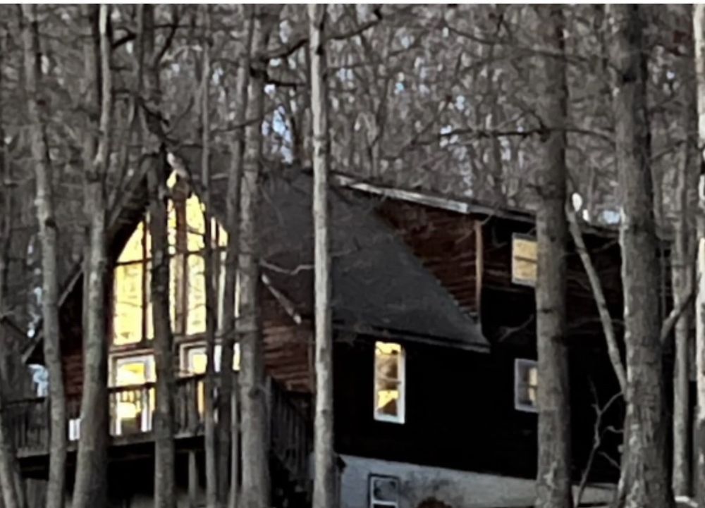 A house in the middle of a forest with trees surrounding it