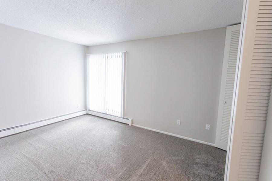 Empty living room with light gray walls, beige carpet, and a large window with vertical blinds.