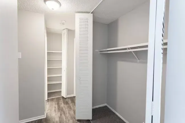 Empty closet with gray walls, white shelves, and a gray floor with a white louvered door in the center.
