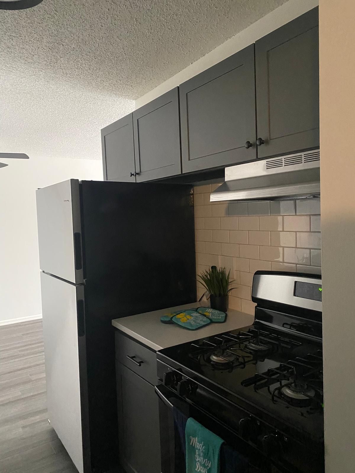 Kitchen in an apartment with gray cabinets, stainless steel stove, and a fridge.