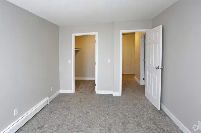 Empty bedroom with gray walls, carpet, and white doors leading to a closet and hallway.
