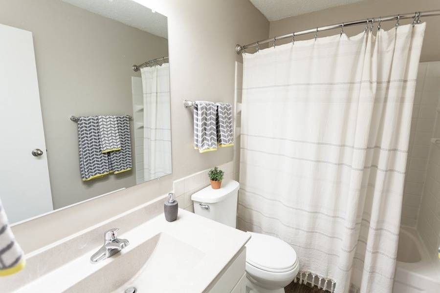 Bathroom in an apartment with a vanity, mirror, toilet, and shower curtain.
