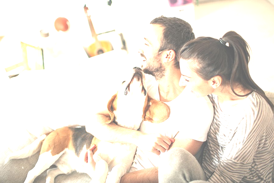 Couple on couch cuddling a beagle, home interior, joyful expressions at Talus Apartment Homes