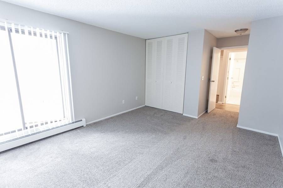 Empty apartment living room with carpet, large window with vertical blinds, and a closet.