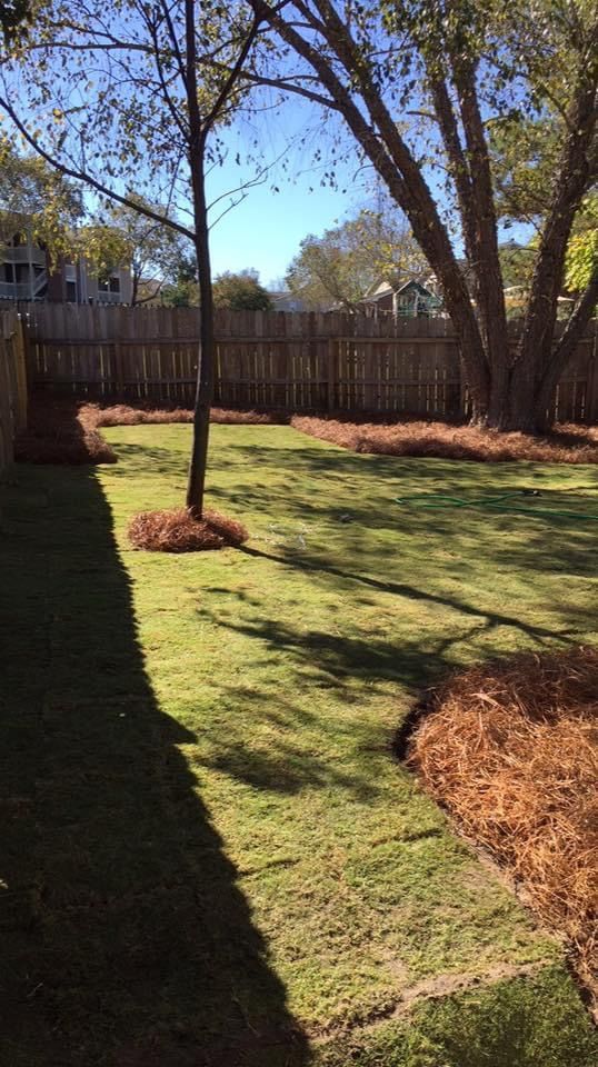 Lawn Care — Manning, SC — Total Lawn Care & Landscaping