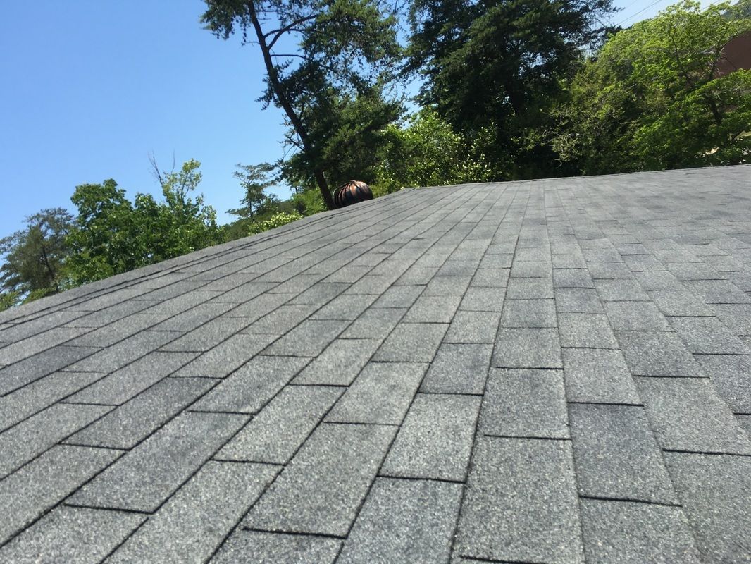 A close up of a roof with trees in the background.