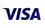 A close up of a visa logo on a white background.