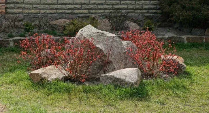 decorative boulders in pinehurst nc