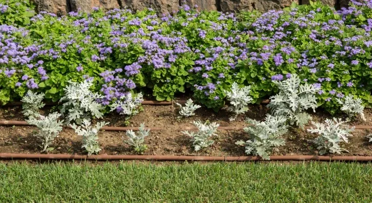 drip irrigation installation and conversion in pinehurst nc