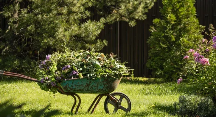landscape cleanups southern pines nc