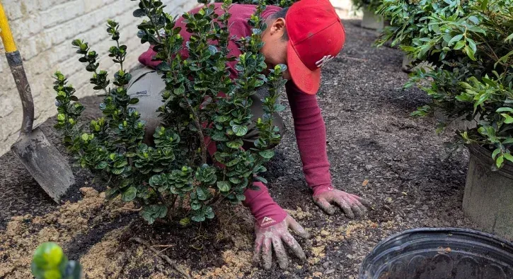 landscape installation in pinehurst nc