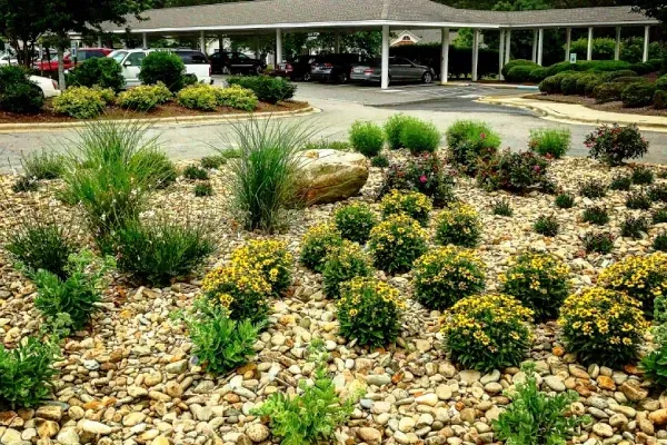 landscaping solutions in pinehurst nc