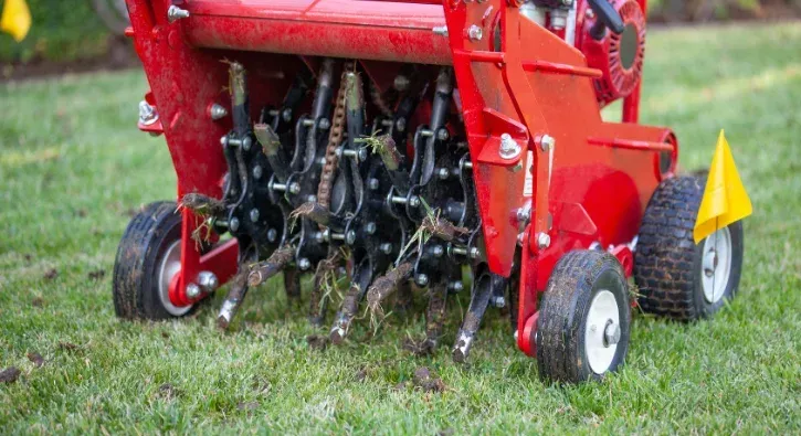 lawn aeration in southern pines nc