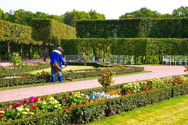 lawn care and maintenance in southern pines