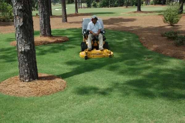 lawn care contractors in pinehurst nc