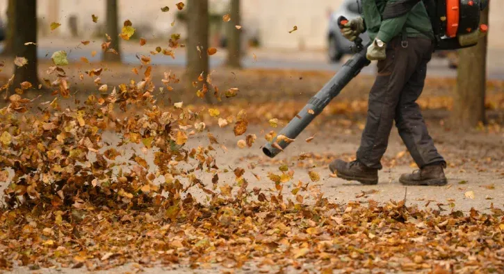 seasonal yard cleanups in pinehurst nc
