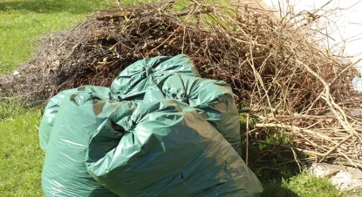 seasonal yard cleanups in southern pines nc