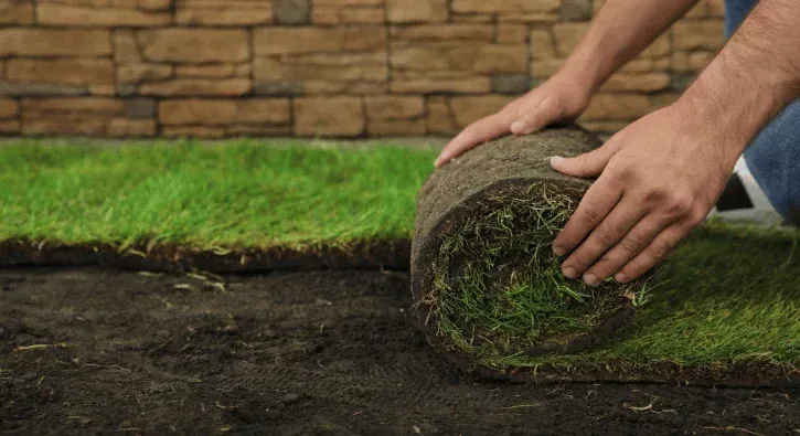 sod installation lawn renovation southern pines nc