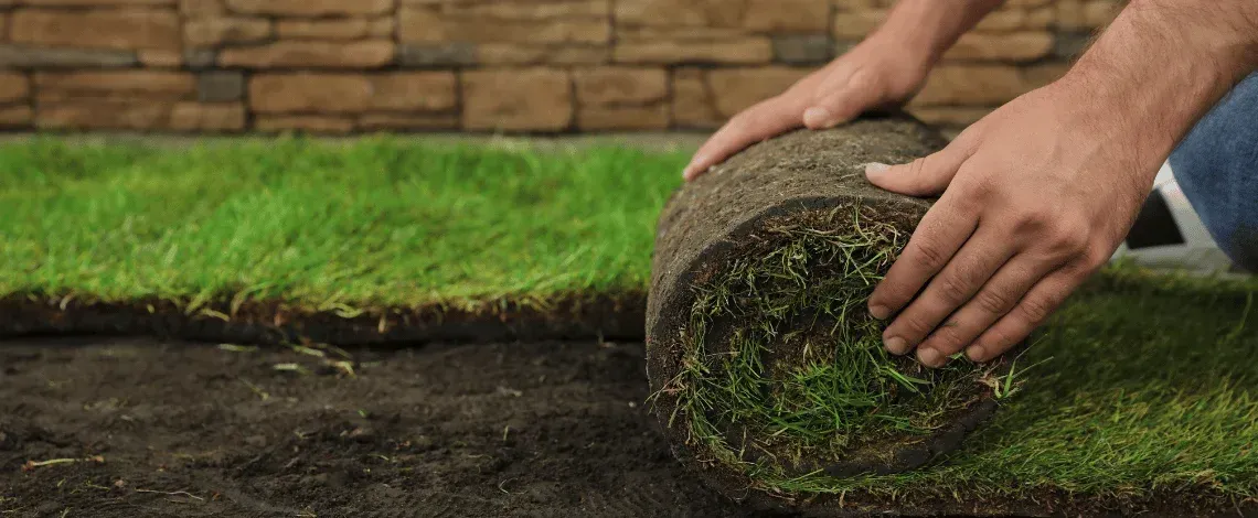 sod installation pinehurst nc