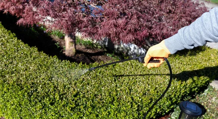 tree and shrub fertilization in pinehurst nc