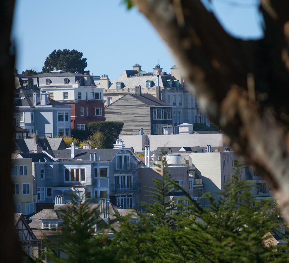 Scaffolding Services — Building & Trees in San Francisco, CA