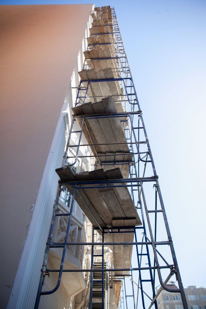 Urban Brothers Painting — Elevated Woods in San Francisco, CA