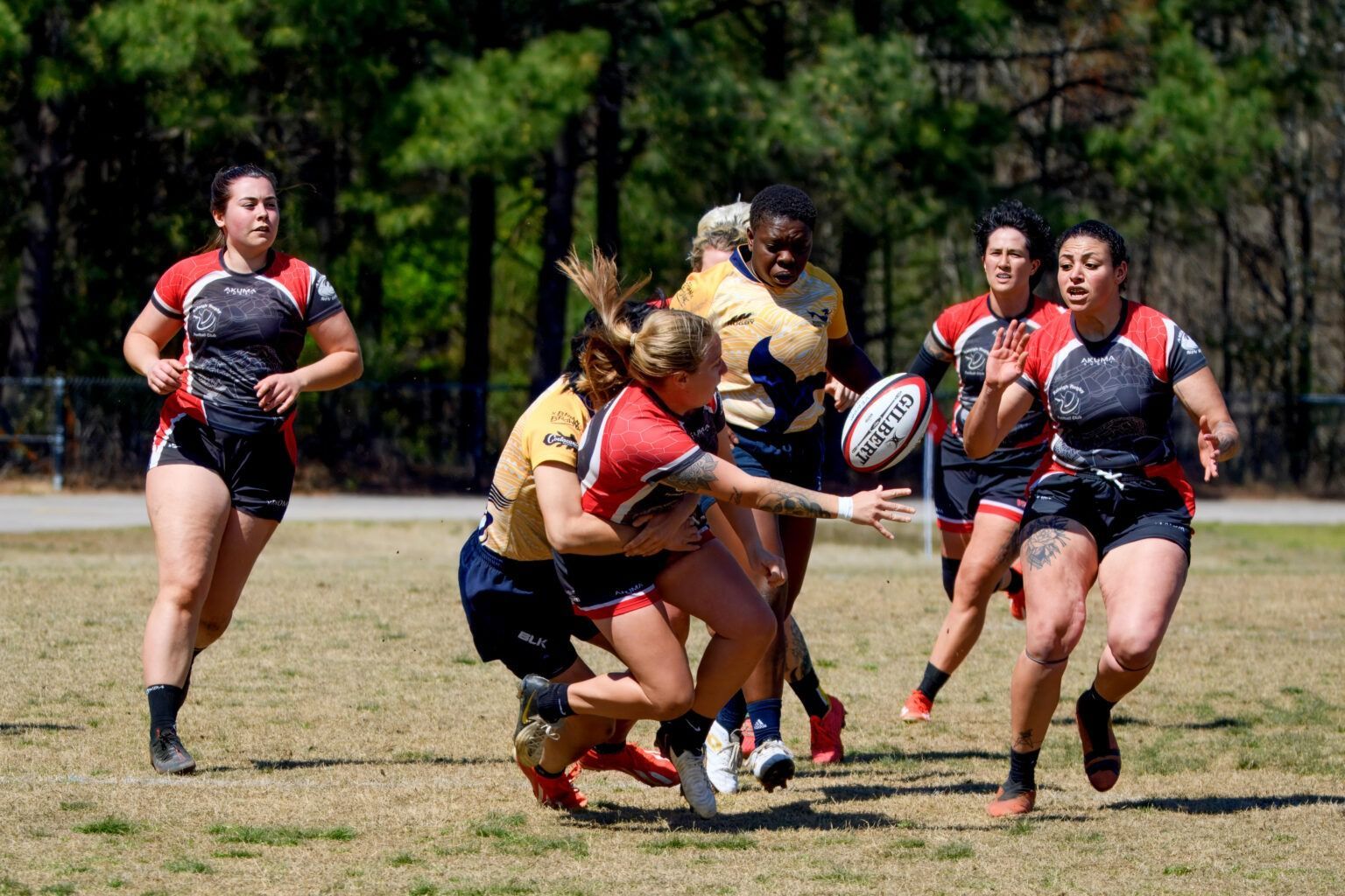 Rugby players in red-and-black and gold-and-blue uniforms competing for the ball on a grass field.