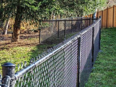 A chain link fence is surrounded by grass and trees in a backyard.