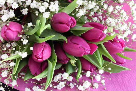 Bouquet di tulipani fucsia e fiori bianche