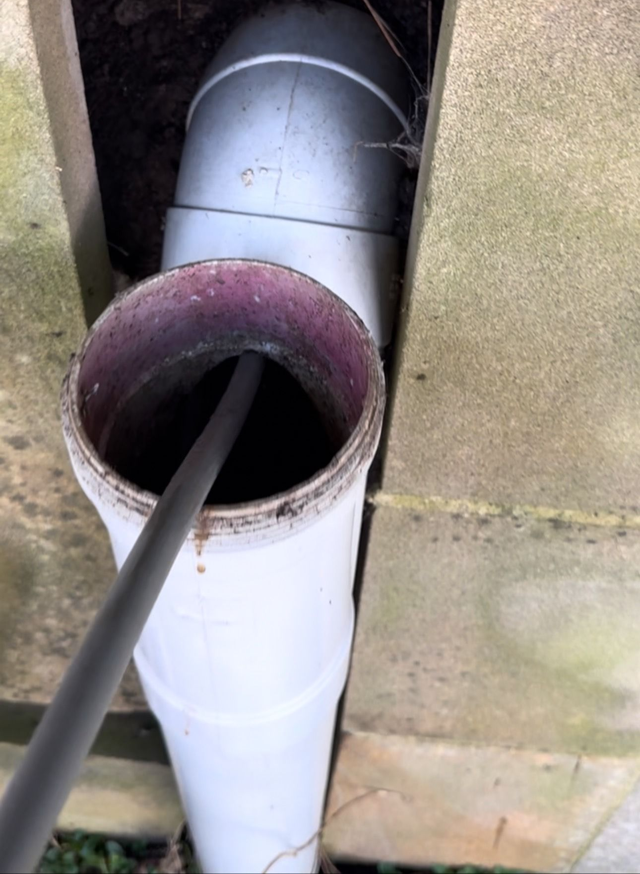 A dark drain cleaning tool is inserted into an open white PVC pipe connected to an exterior wall.