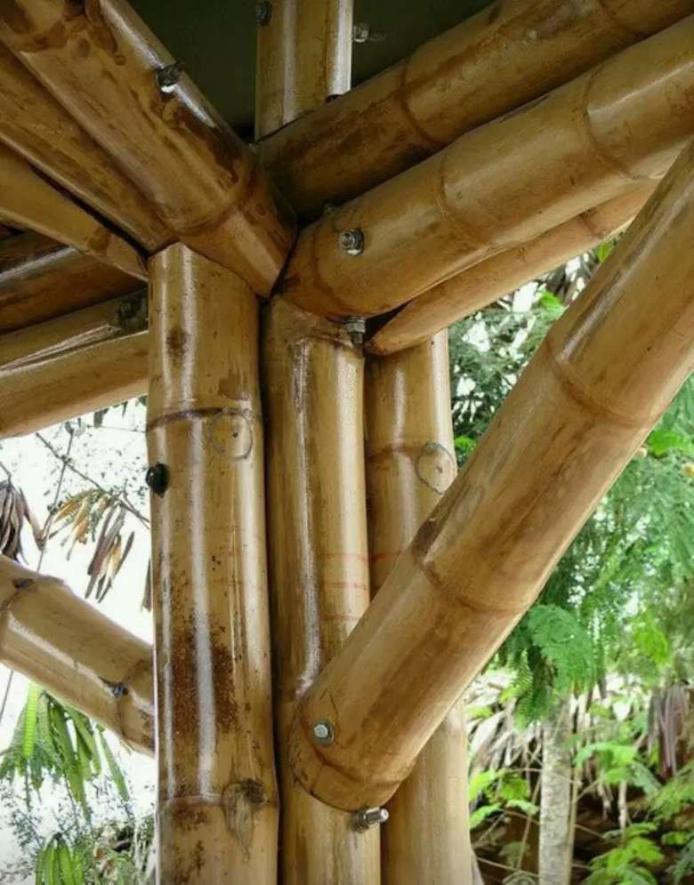 Maderas y Aserríos Nariño, venta de guadua en Medellín