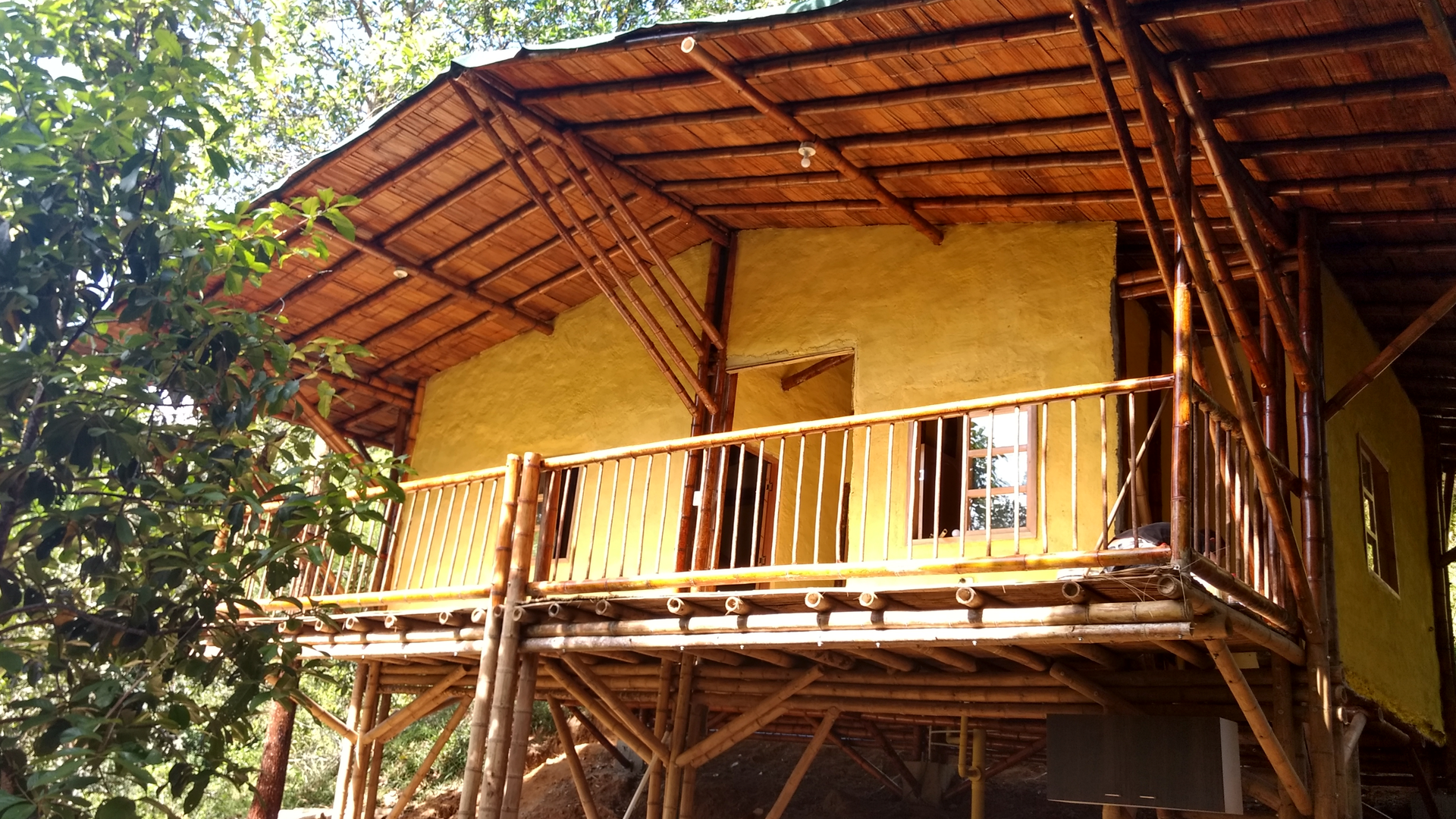 Maderas y Aserríos Nariño, Venta de Guadua en todas las dimensiones en Envigado.