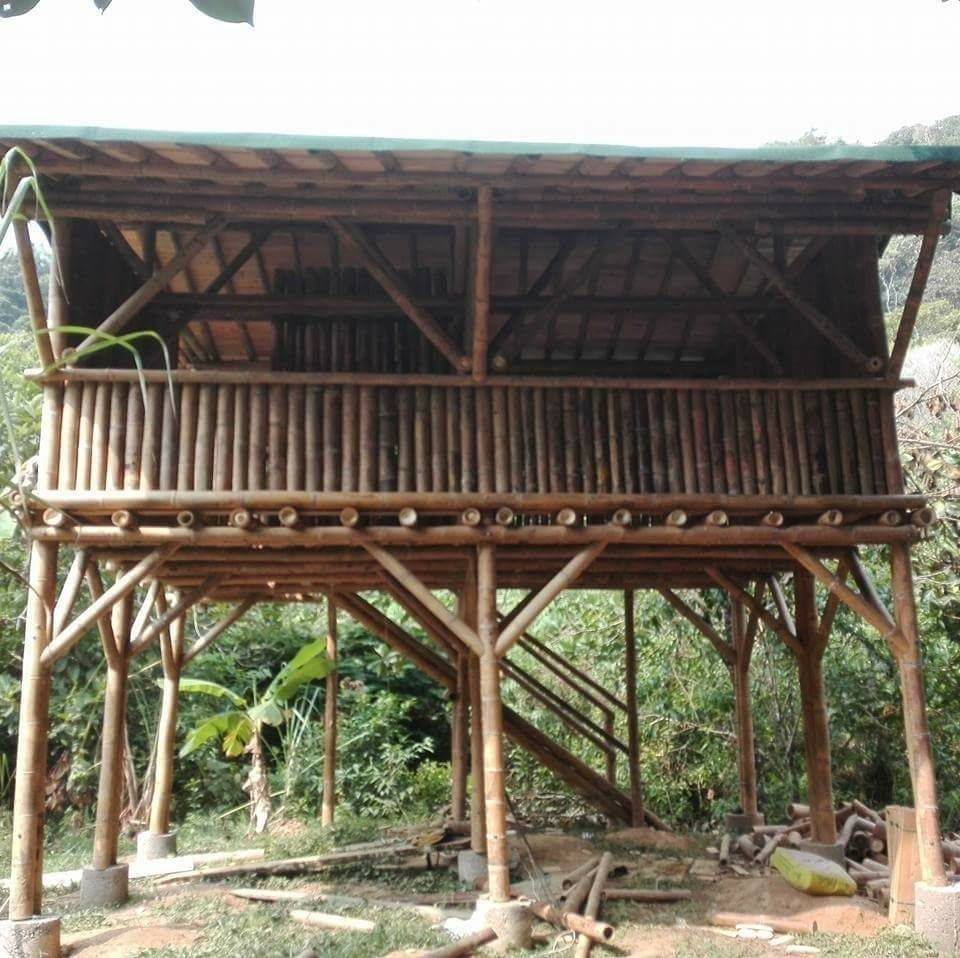 Maderas y Aserríos Nariño, Venta de Guadua, Madera Estructural e Inmunizada en todas las dimensiones en Rionegro.