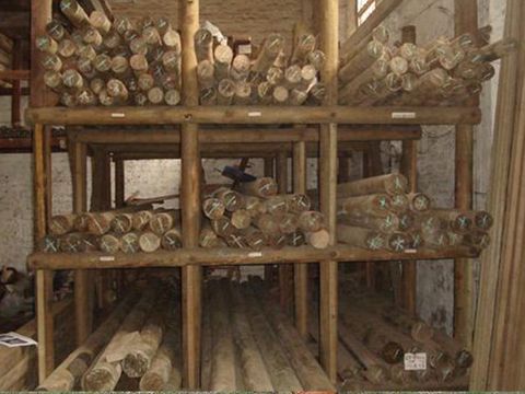 Maderas y Aserríos Nariño, Procesos  de producción responsables y amigables con el medio ambiente.