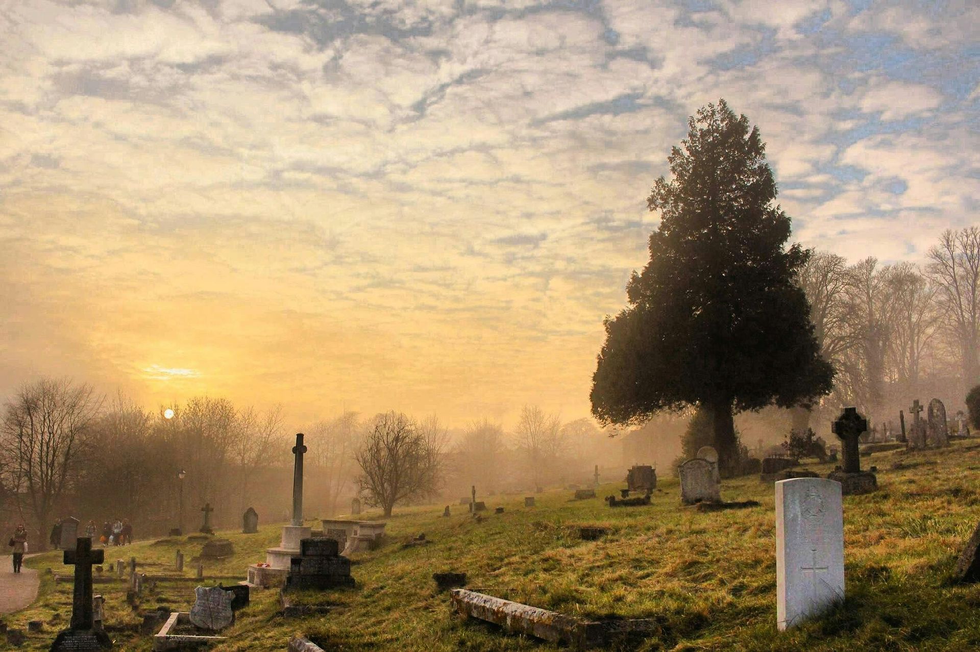 Plot Twists, Fringe Moments, and Marketing Wins