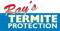 Ray’s Termite Protection & Pest Control is Your Termite Control Service in Maroochydore