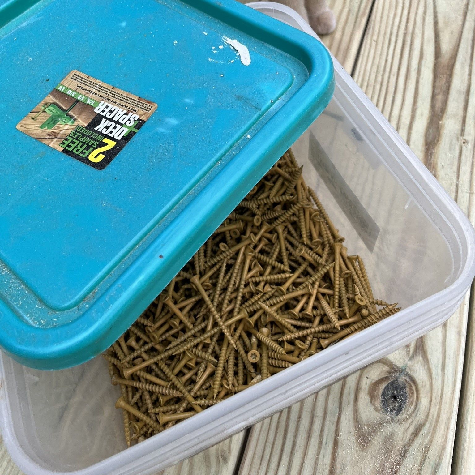 A plastic container with a blue lid filled with screws