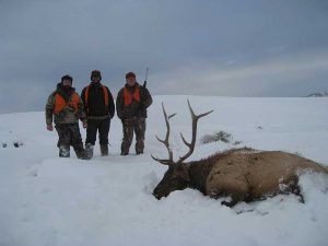 Rifle Elk Hunting