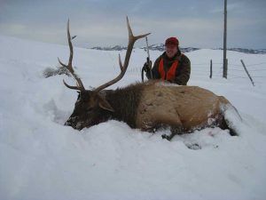 Rifle Elk Hunting