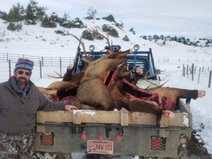 Rifle Elk Hunting