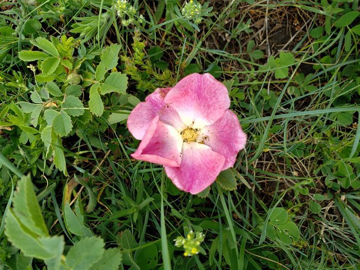Lone Wolf Guide Service Hunting 