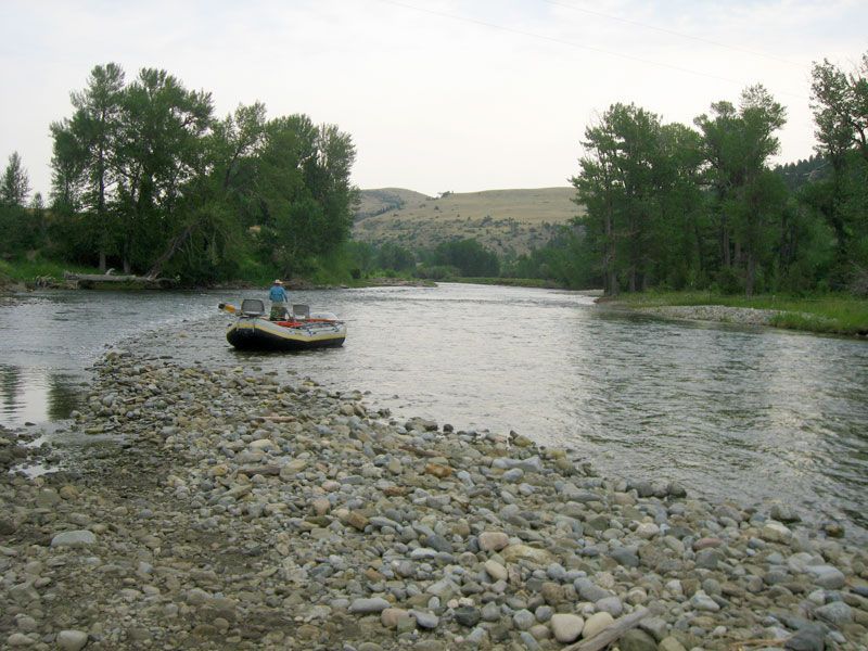 Lone Wolf Guide Service Fishing