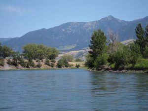 Lone Wolf Guide Service Fishing