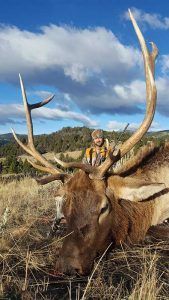 Rifle Elk Hunting