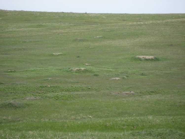 Lone Wolf Guide Service Hunting 