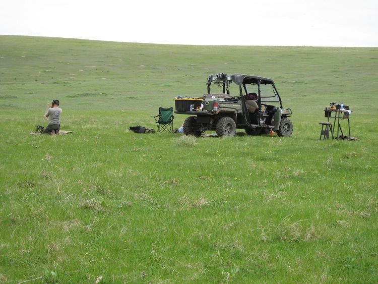 Lone Wolf Guide Service Hunting 