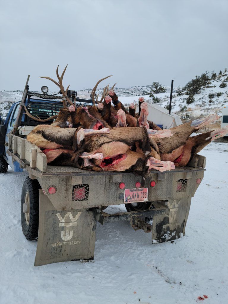 Lone Wolf Guide Service Hunt