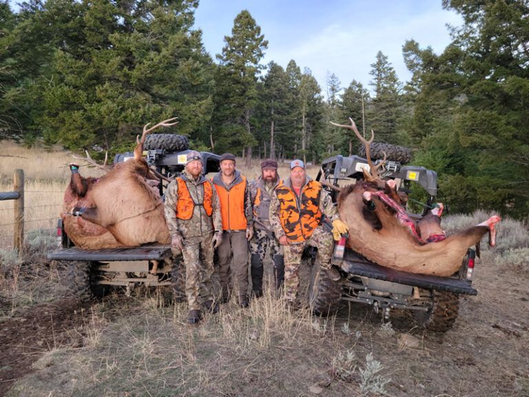 Rifle Elk Hunting