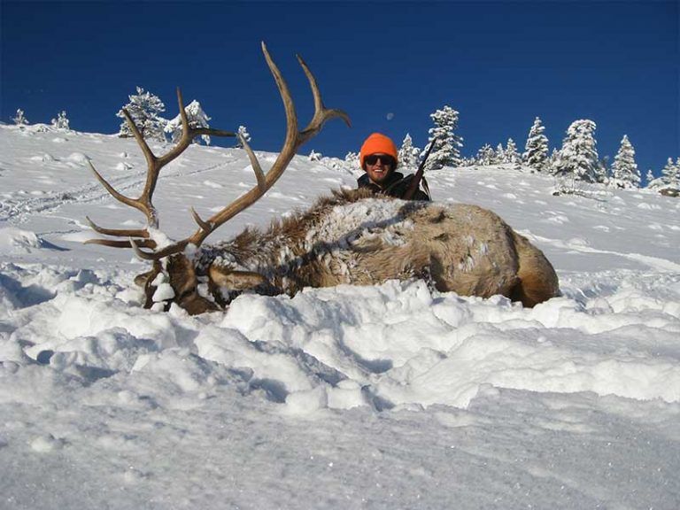Rifle Elk Hunting