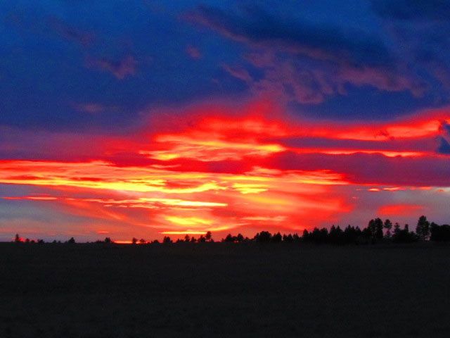 Lone Wolf Guide Service Camp